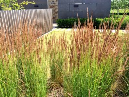  BD Landscape Architects | Landscape Architecture | Urban Design | Space-Making