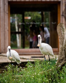  BD Landscape Architects | Landscape Architecture | Urban Design | Space-Making