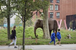  BD Landscape Architects | Landscape Architecture | Urban Design | Space-Making