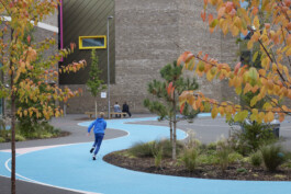 BD Landscape Architects | Landscape Architecture | Urban Design | Space-Making