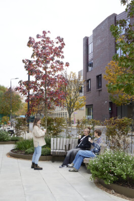 BD Landscape Architects | Landscape Architecture | Urban Design | Space-Making