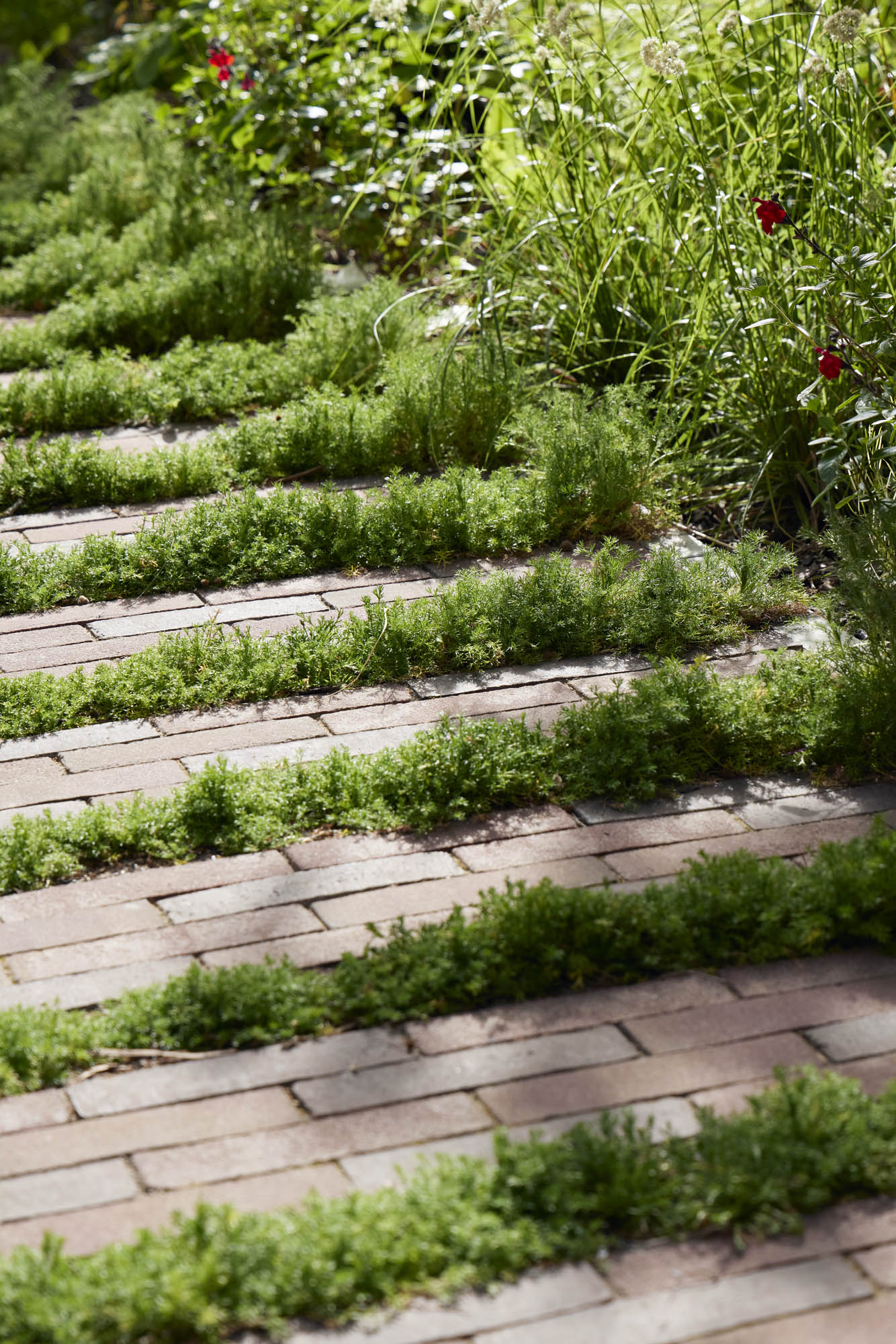  BD Landscape Architects | Landscape Architecture | Urban Design | Space-Making
