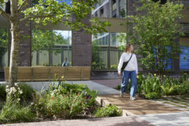 BD Landscape Architects | Landscape Architecture | Urban Design | Space-Making