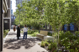 BD Landscape Architects | Landscape Architecture | Urban Design | Space-Making