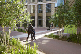 BD Landscape Architects | Landscape Architecture | Urban Design | Space-Making