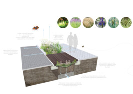 BD Landscape Architects | Landscape Architecture | Urban Design | Space-Making