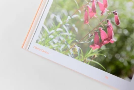 BD Landscape Architects | Landscape Architecture | Urban Design | Space-Making