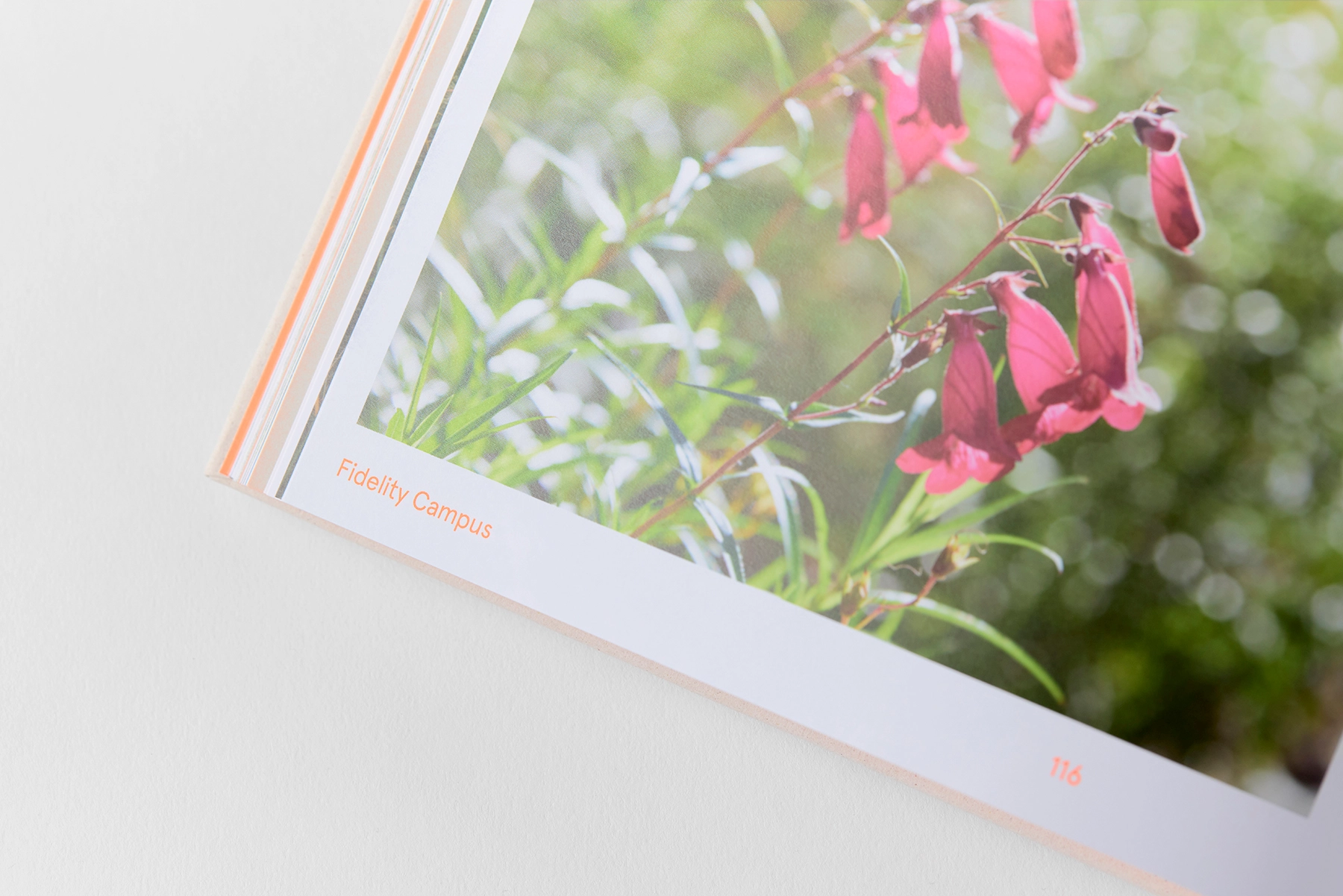 BD Landscape Architects | Landscape Architecture | Urban Design | Space-Making