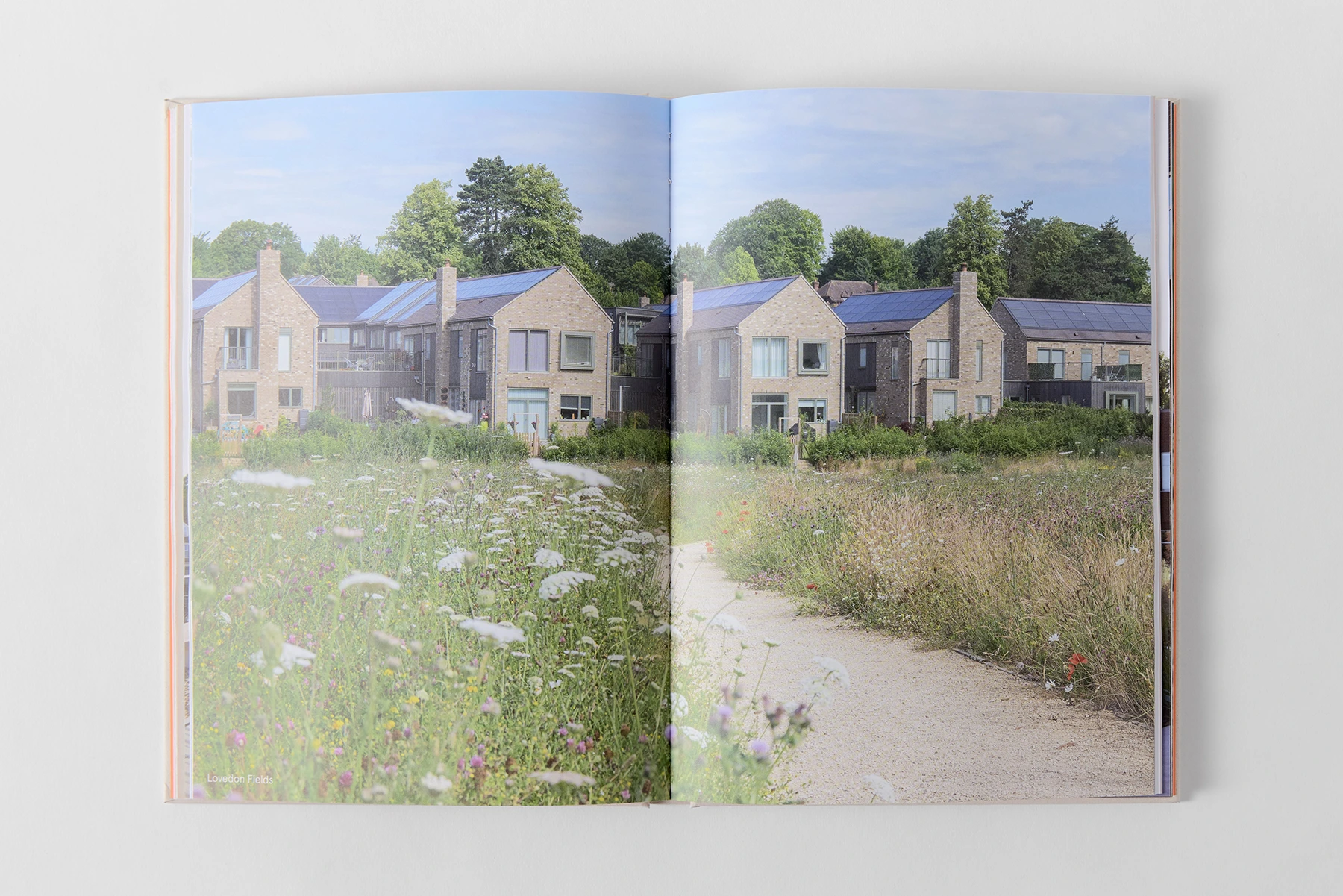 BD Landscape Architects | Landscape Architecture | Urban Design | Space-Making