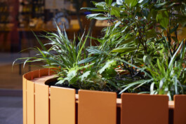  BD Landscape Architects | Landscape Architecture | Urban Design | Space-Making