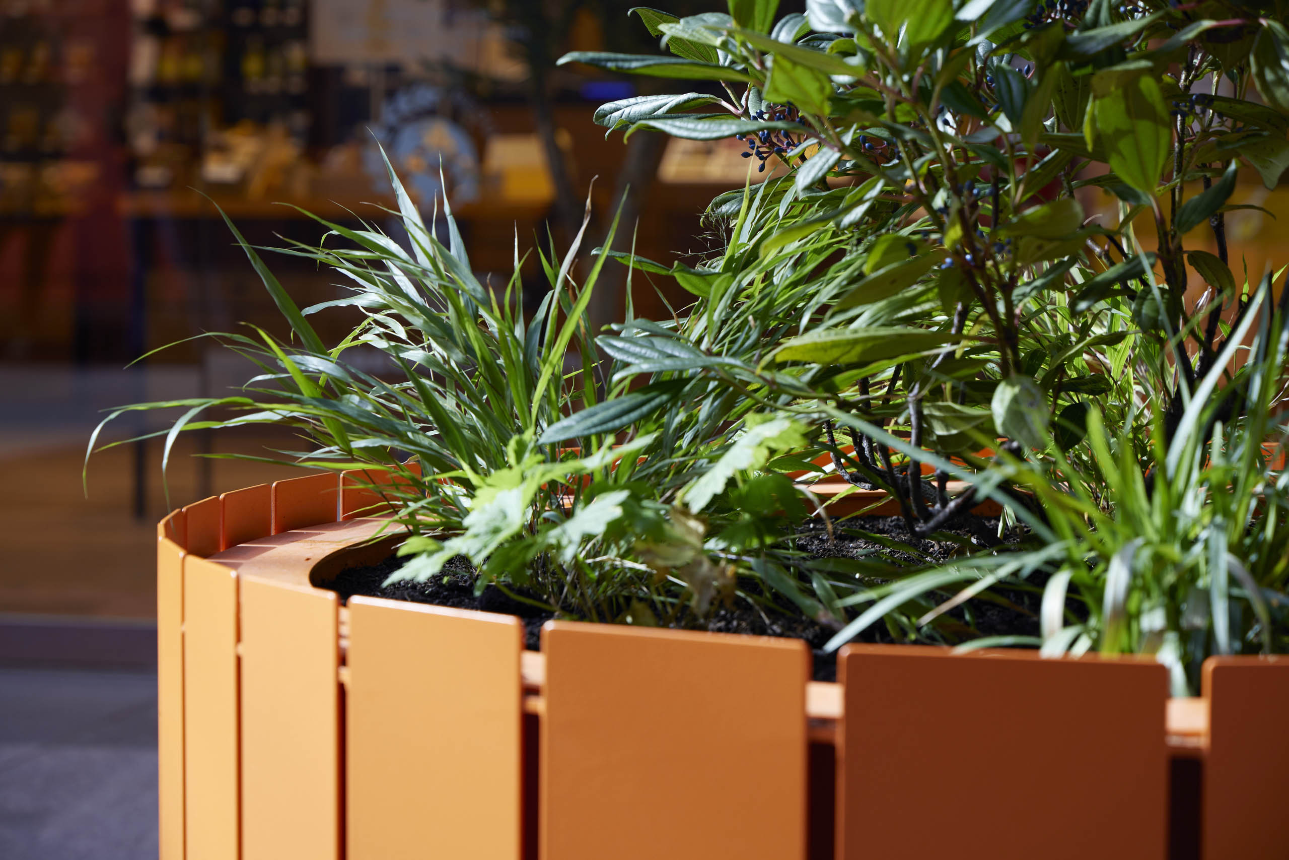 BD Landscape Architects | Landscape Architecture | Urban Design | Space-Making