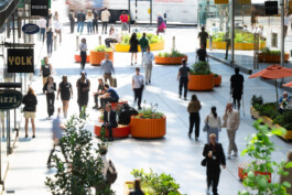  BD Landscape Architects | Landscape Architecture | Urban Design | Space-Making