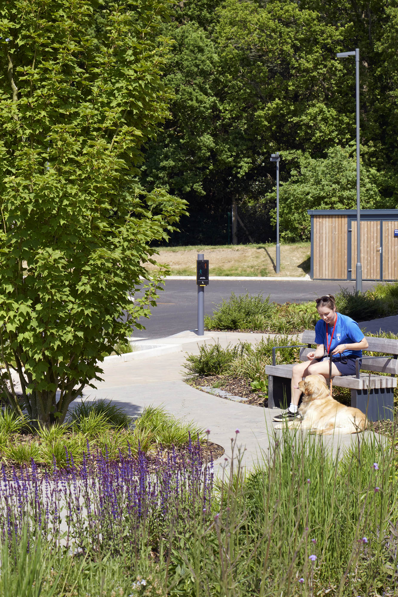  BD Landscape Architects | Landscape Architecture | Urban Design | Space-Making