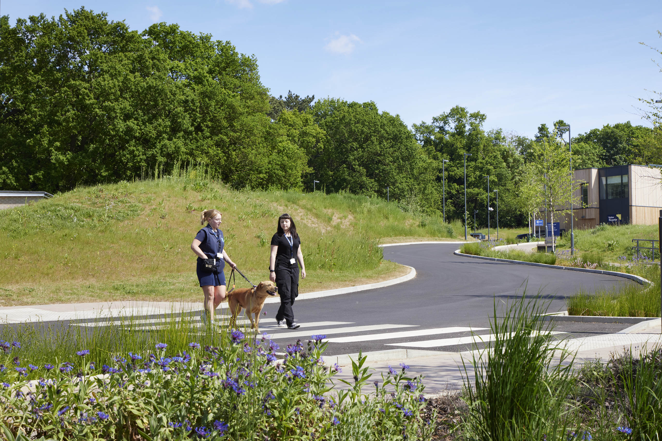 BD Landscape Architects | Landscape Architecture | Urban Design | Space-Making