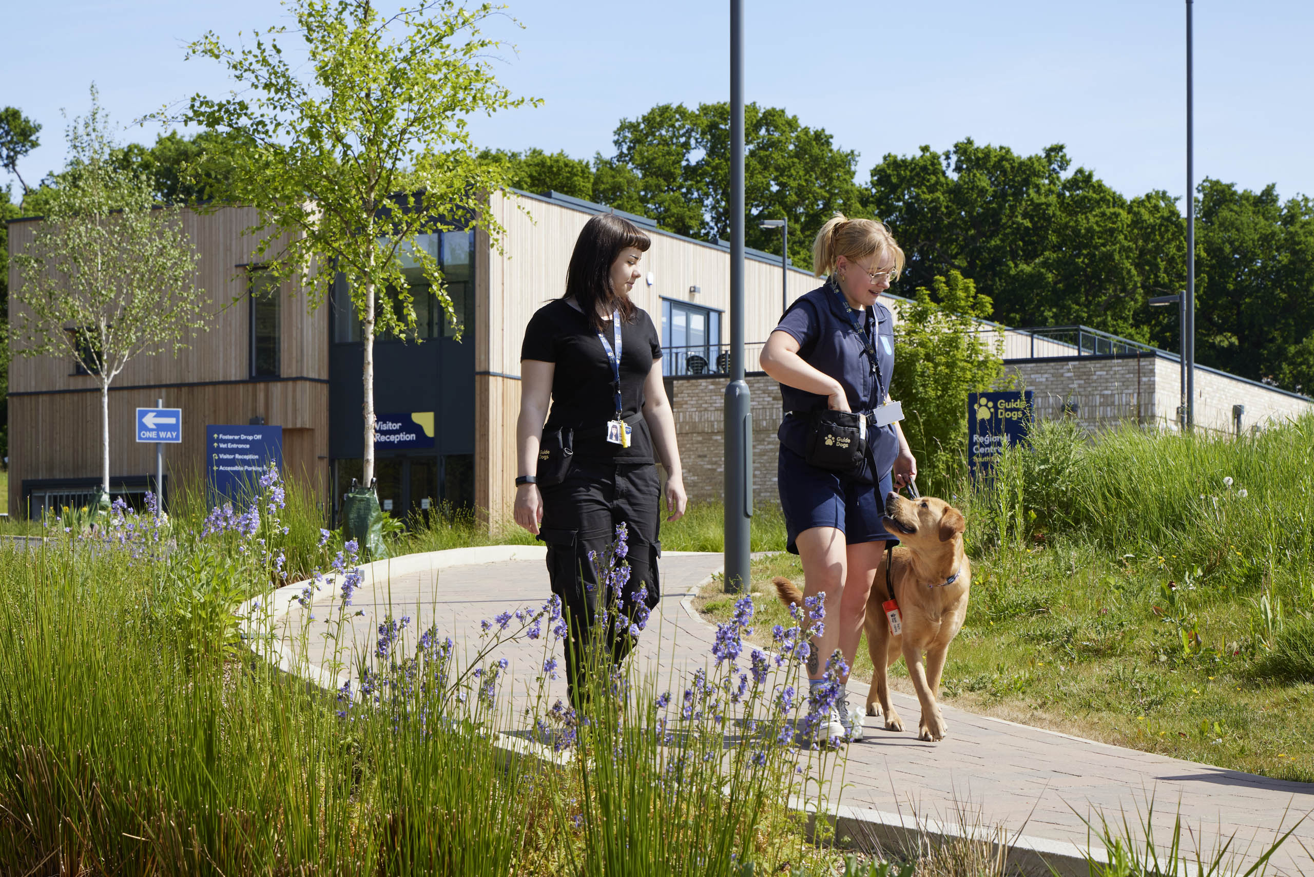  BD Landscape Architects | Landscape Architecture | Urban Design | Space-Making