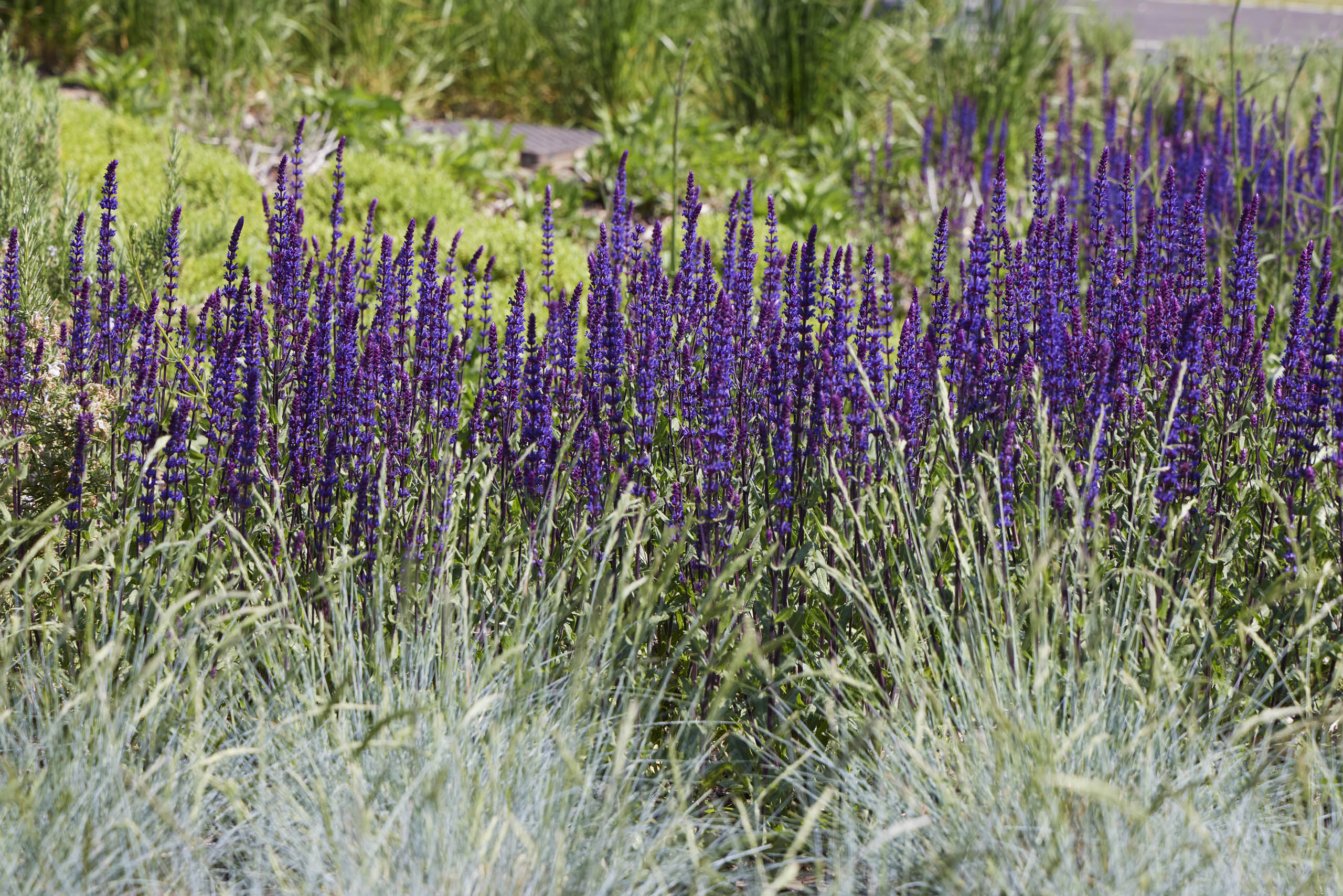  BD Landscape Architects | Landscape Architecture | Urban Design | Space-Making