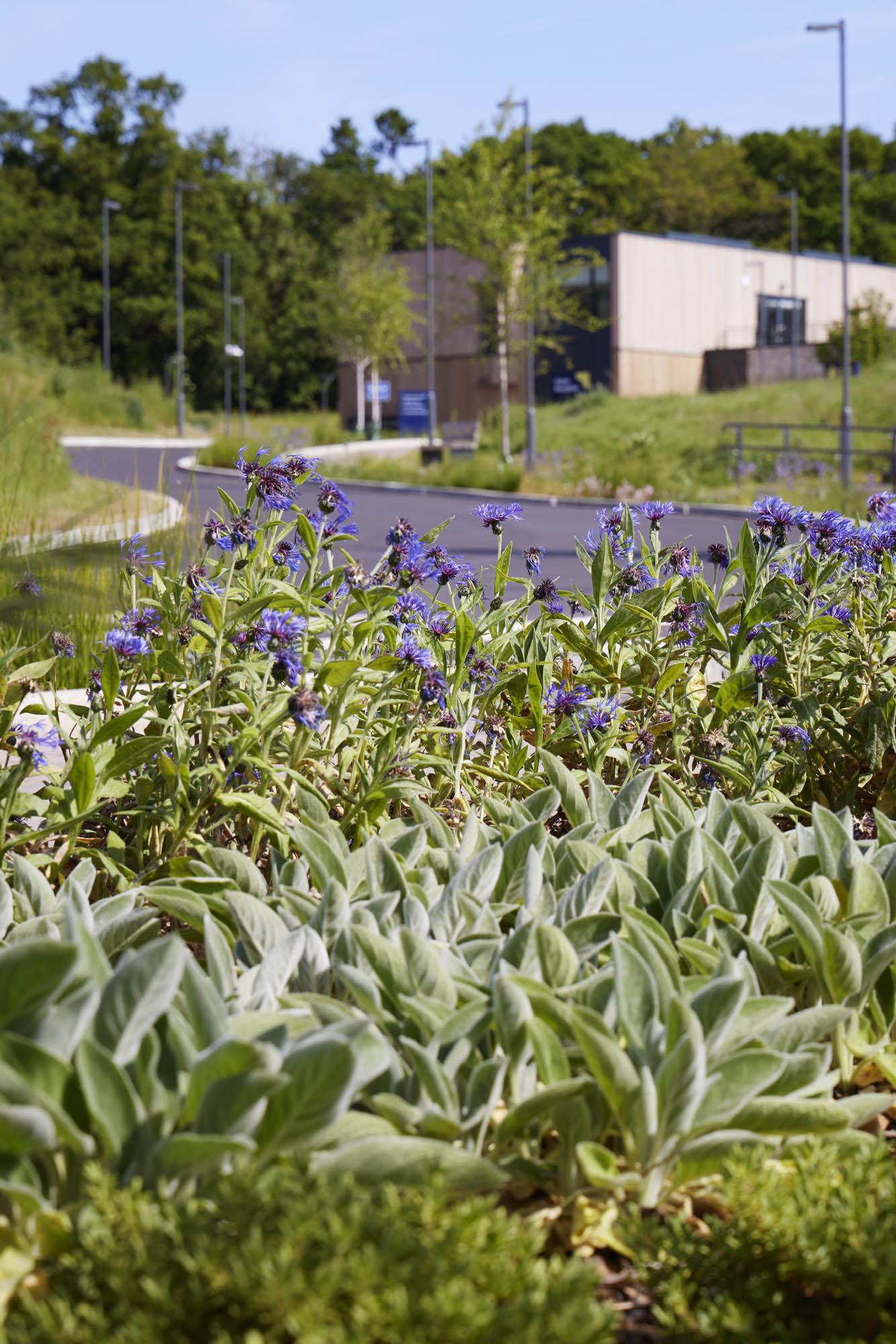  BD Landscape Architects | Landscape Architecture | Urban Design | Space-Making