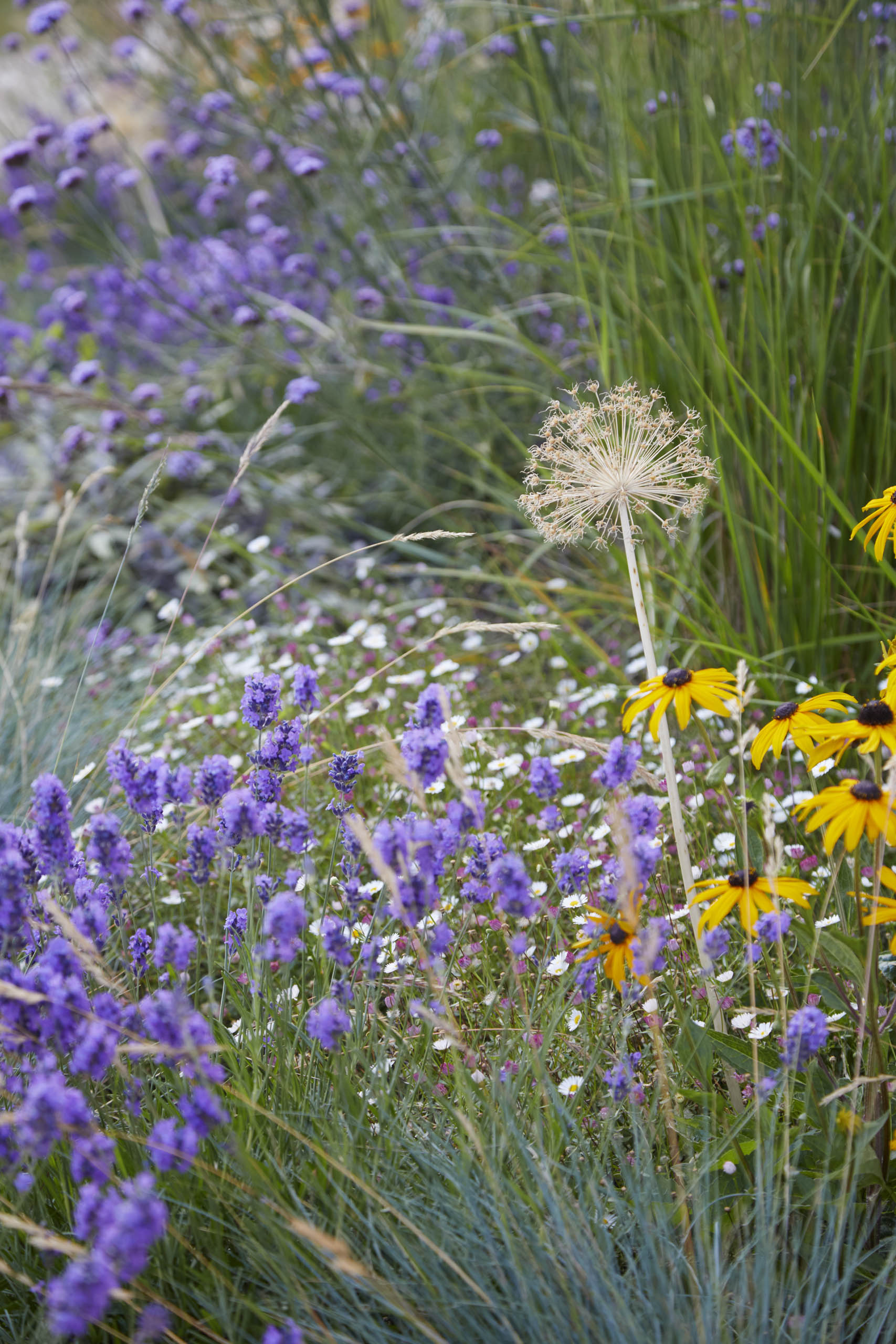 BD Landscape Architects | Landscape Architecture | Urban Design | Space-Making