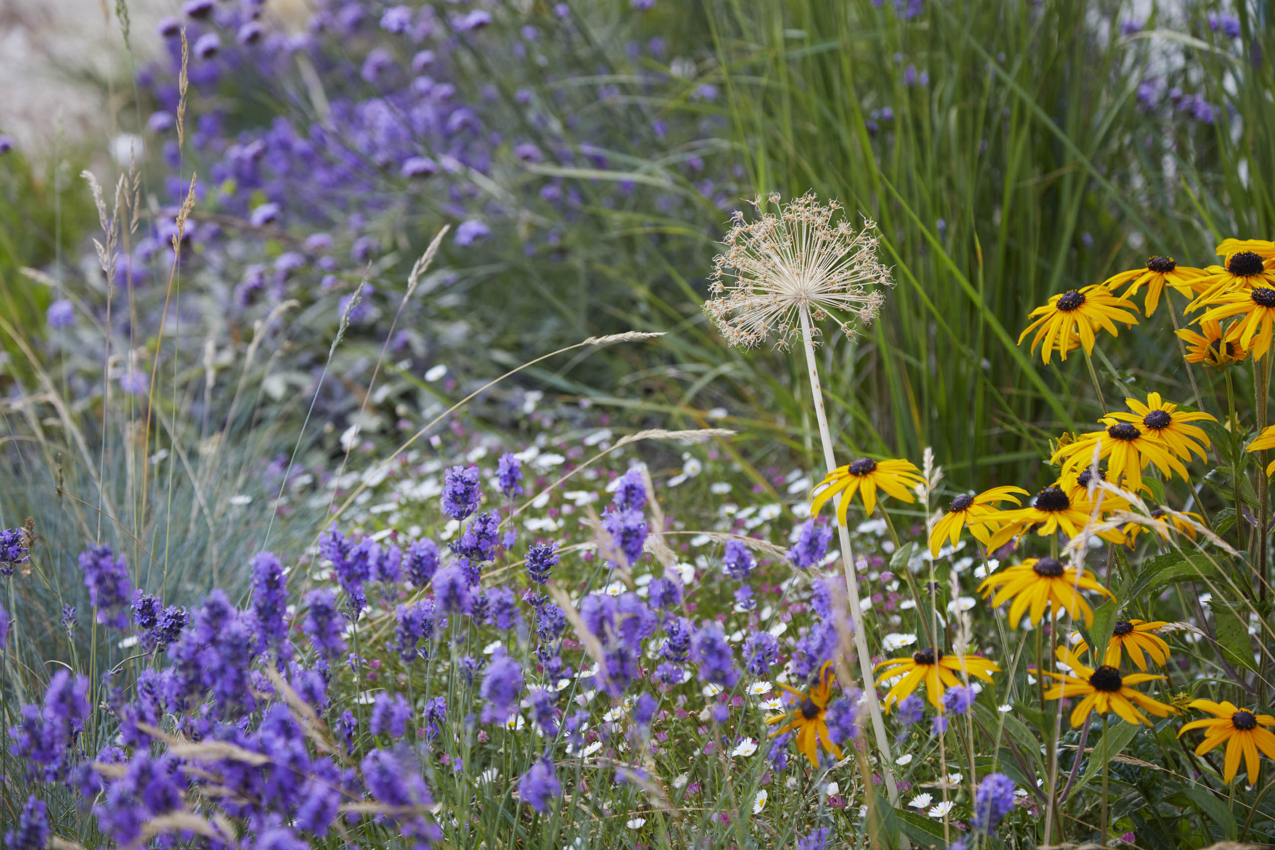 Glassfields, Bristol - BD Landscape Architects