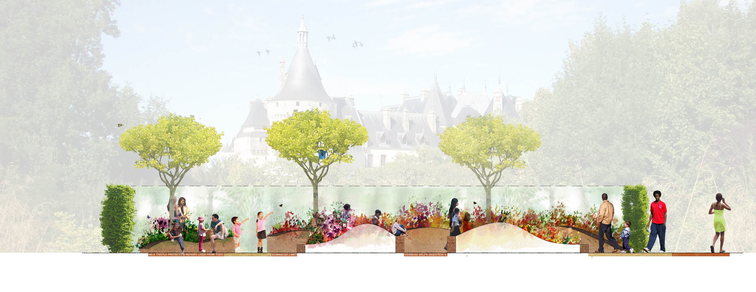 BD Landscape Architects