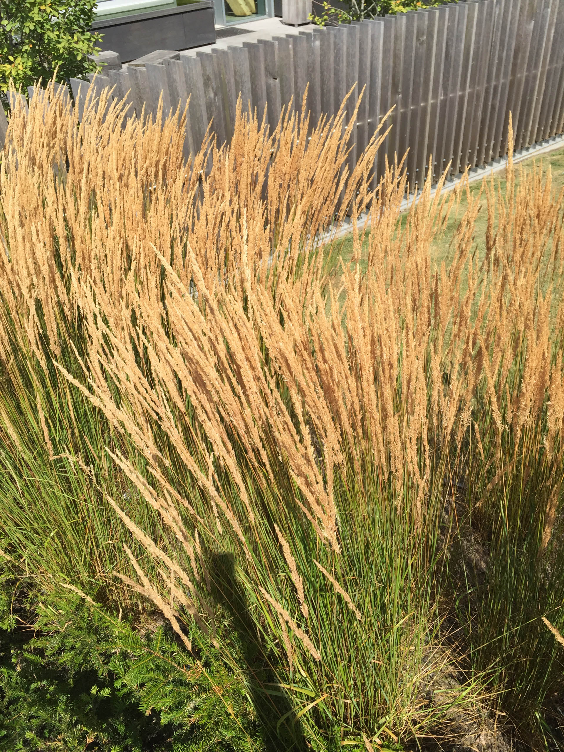  BD Landscape Architects | Landscape Architecture | Urban Design | Space-Making