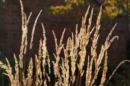  BD Landscape Architects | Landscape Architecture | Urban Design | Space-Making