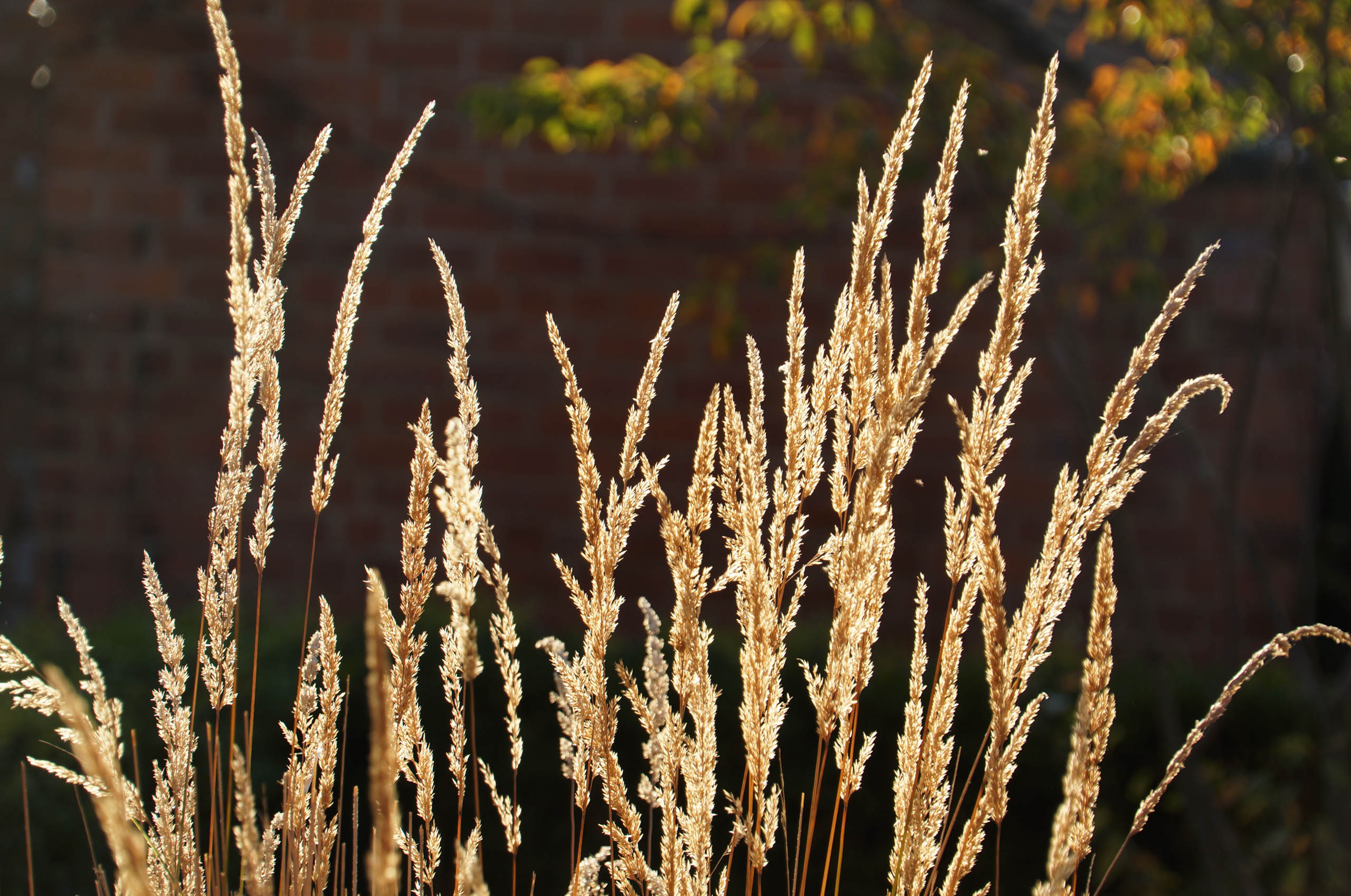  BD Landscape Architects | Landscape Architecture | Urban Design | Space-Making