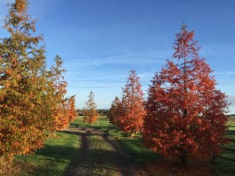  BD Landscape Architects | Landscape Architecture | Urban Design | Space-Making