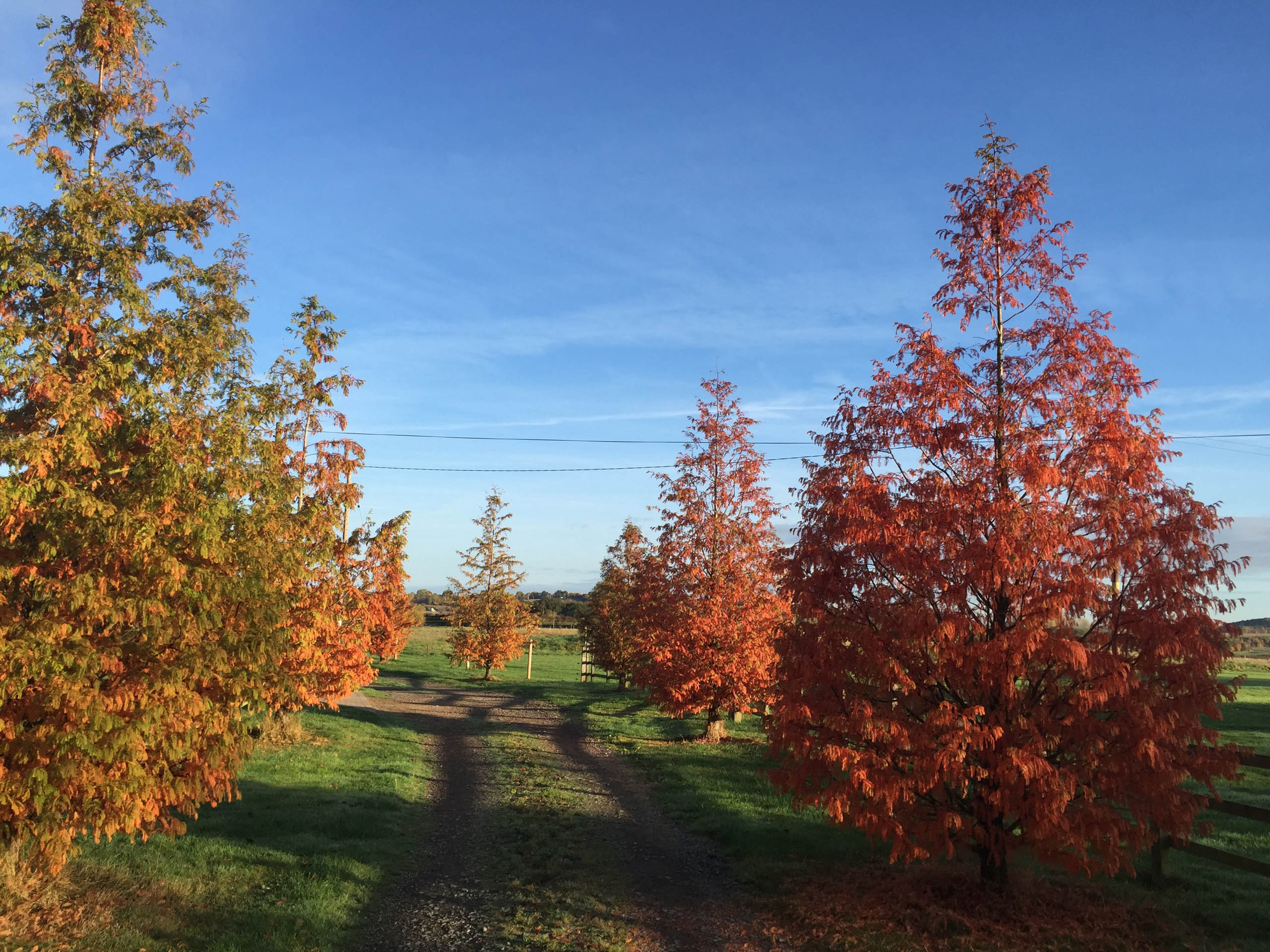  BD Landscape Architects | Landscape Architecture | Urban Design | Space-Making