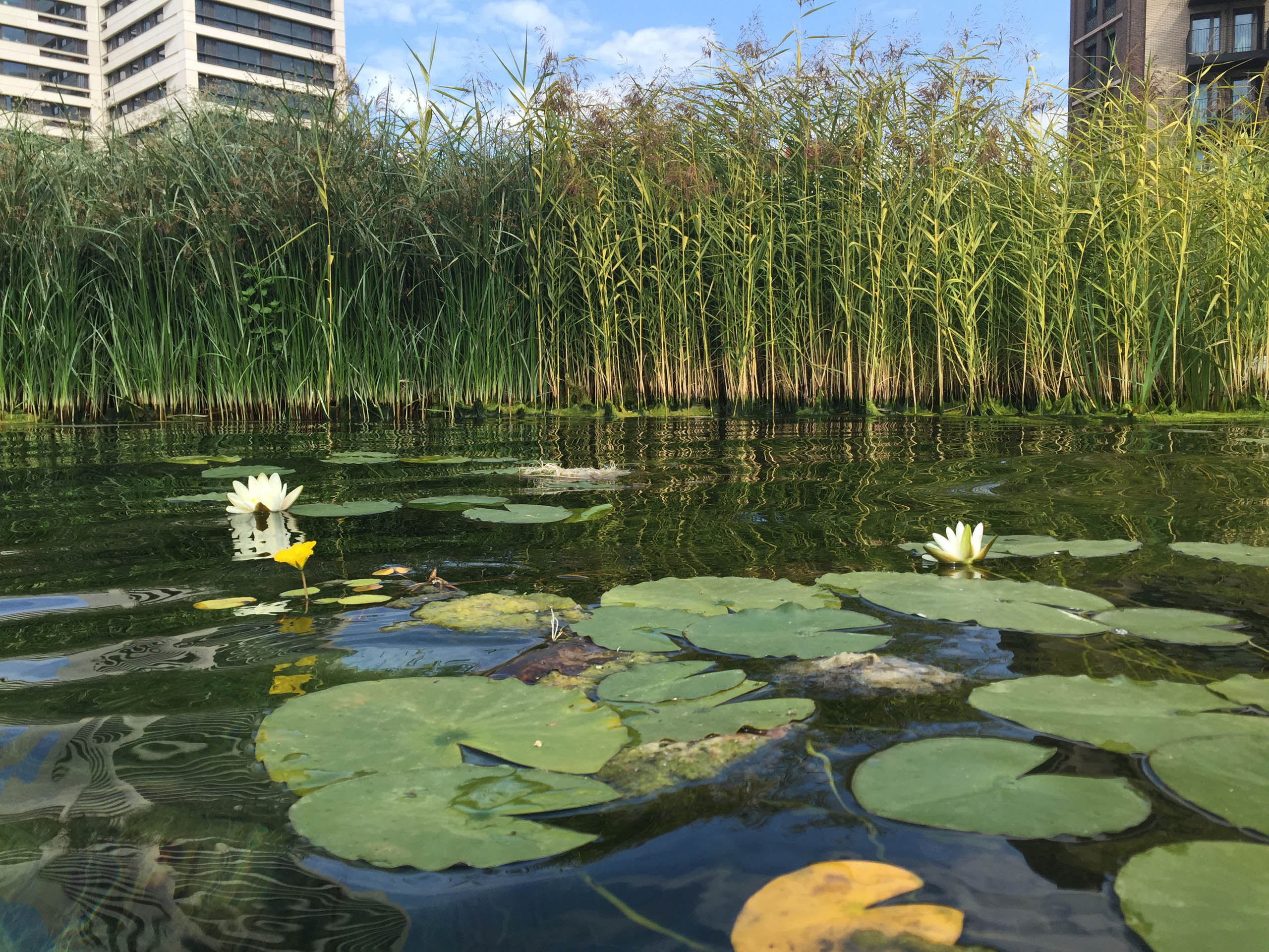  BD Landscape Architects | Landscape Architecture | Urban Design | Space-Making