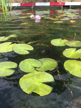  BD Landscape Architects | Landscape Architecture | Urban Design | Space-Making