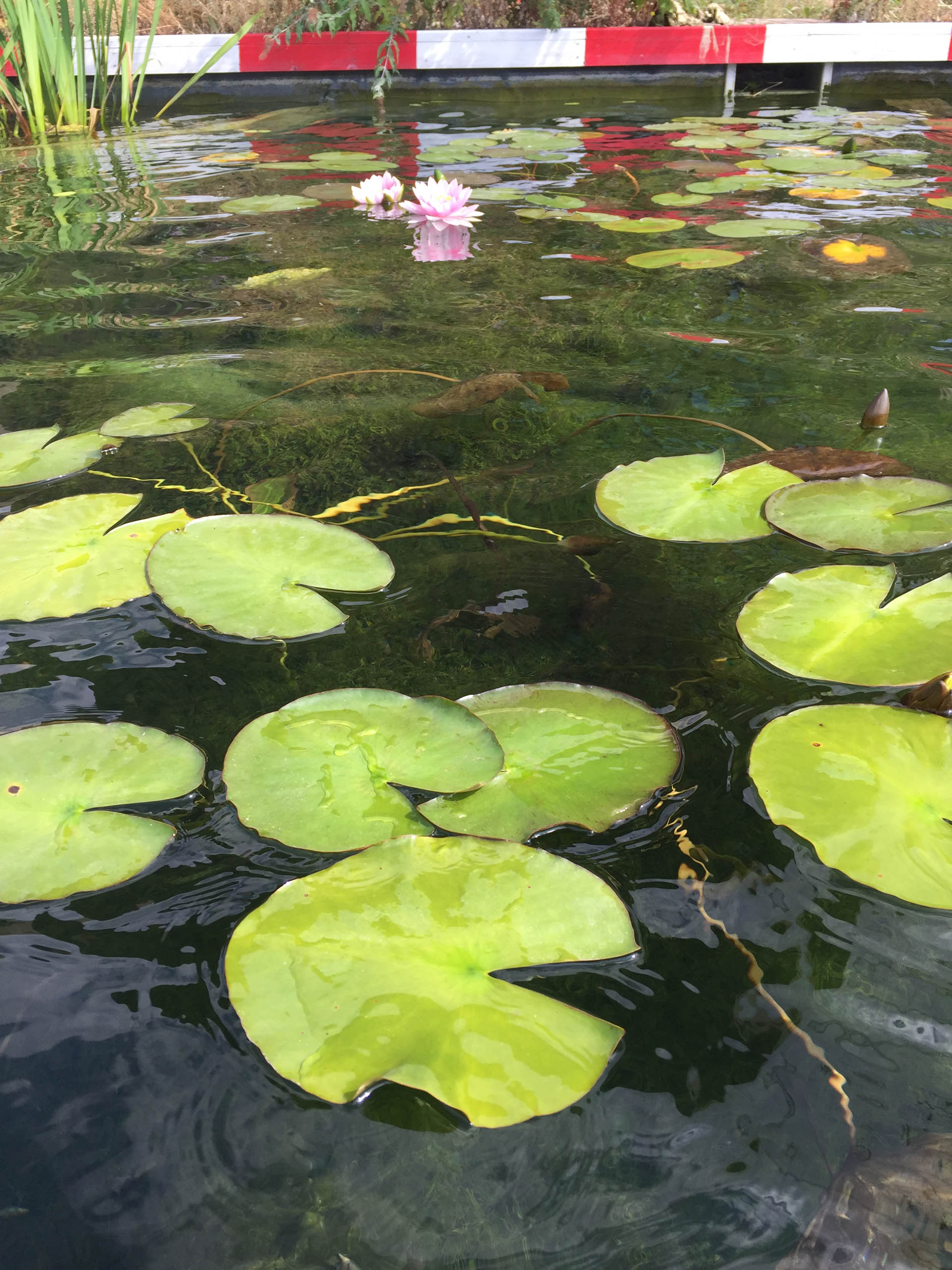  BD Landscape Architects | Landscape Architecture | Urban Design | Space-Making