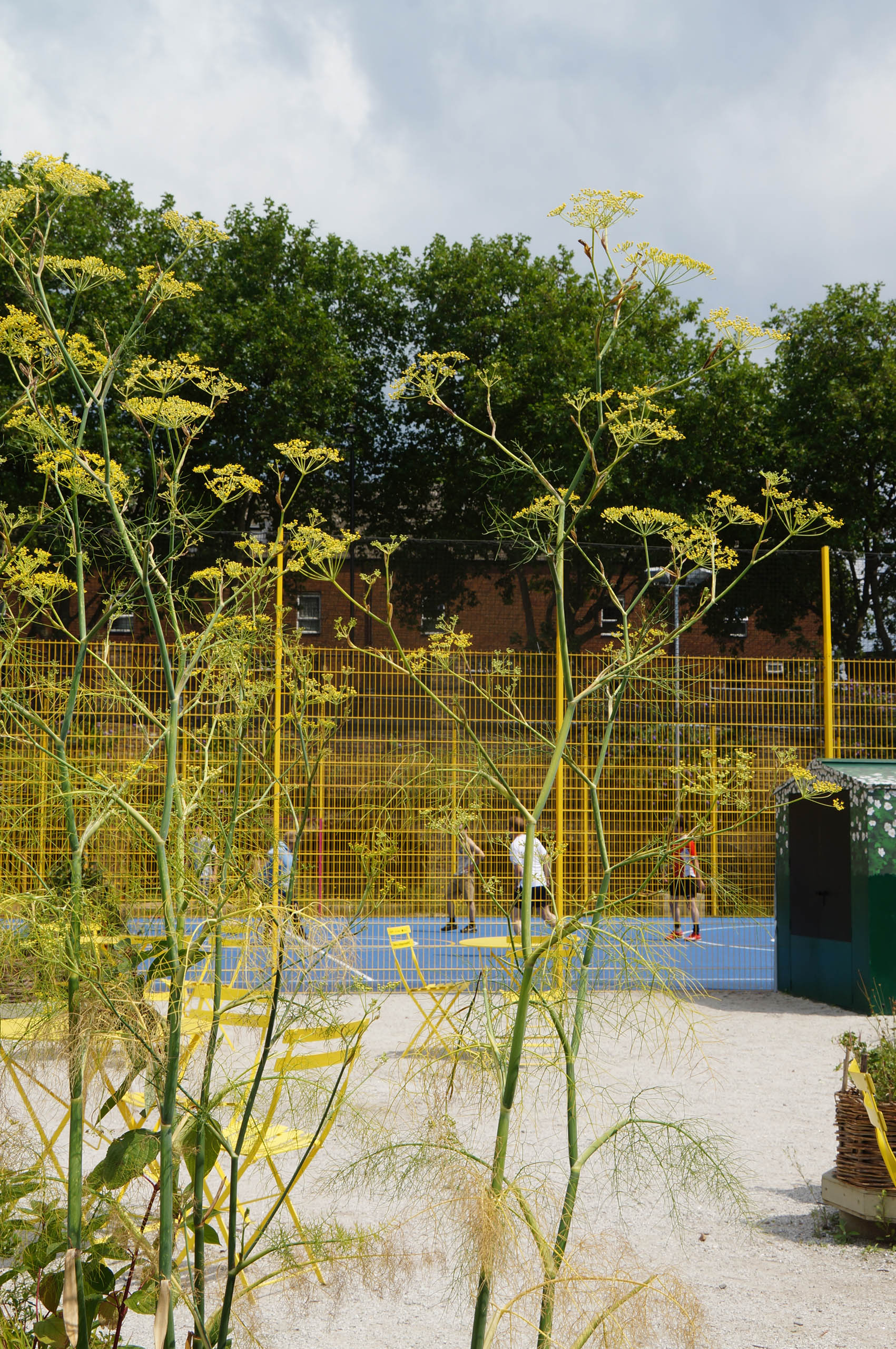  BD Landscape Architects | Landscape Architecture | Urban Design | Space-Making