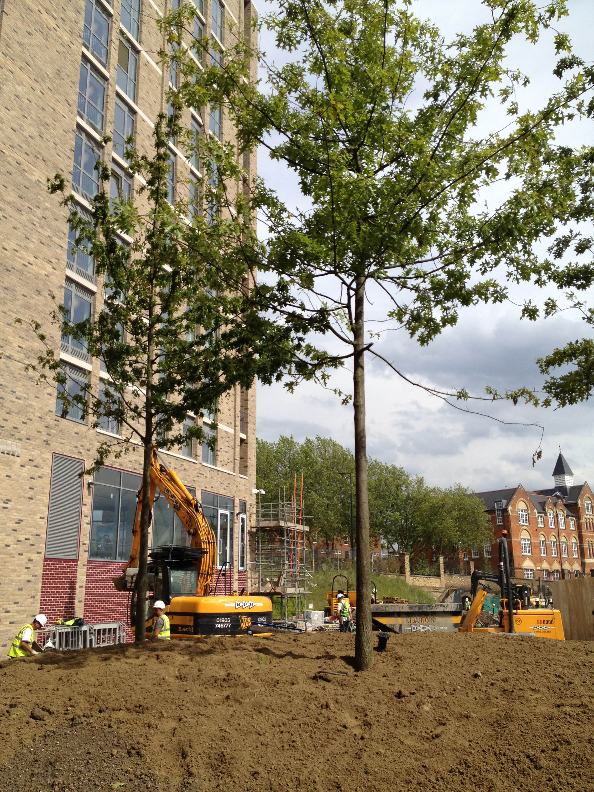  BD Landscape Architects | Landscape Architecture | Urban Design | Space-Making