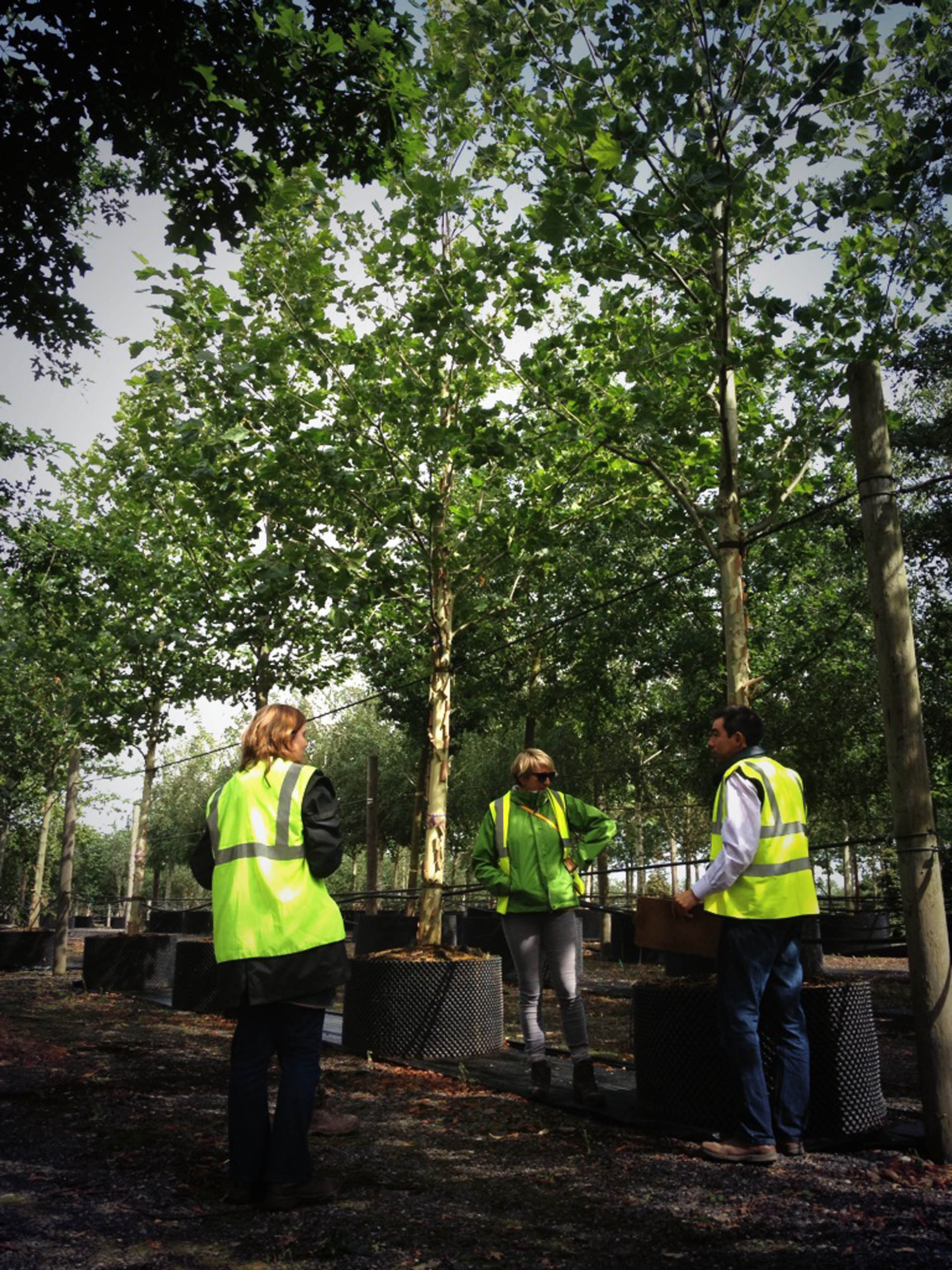  BD Landscape Architects | Landscape Architecture | Urban Design | Space-Making