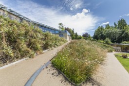  BD Landscape Architects | Landscape Architecture | Urban Design | Space-Making