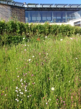 BD Landscape Architects | Landscape Architecture | Urban Design | Space-Making