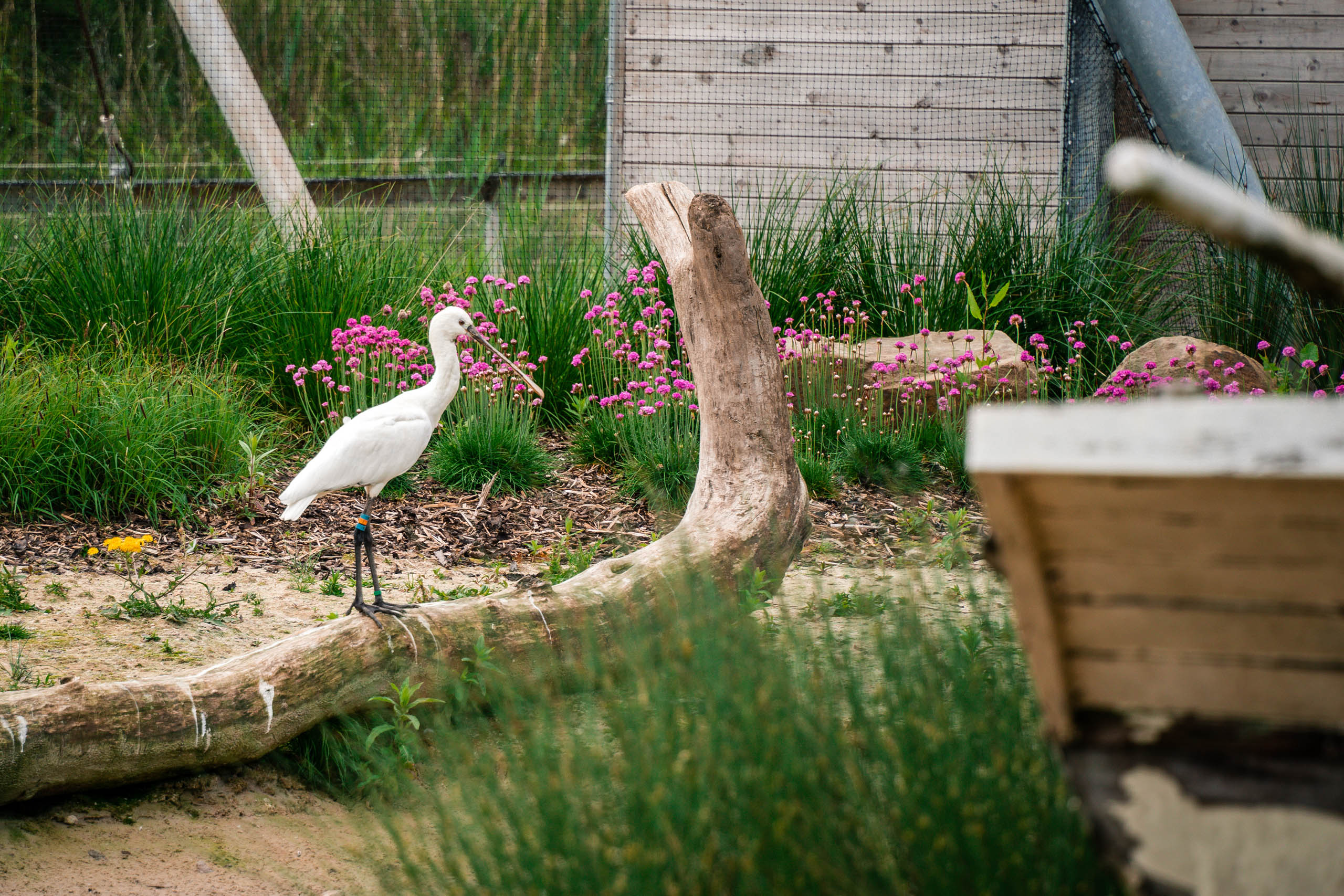  BD Landscape Architects | Landscape Architecture | Urban Design | Space-Making