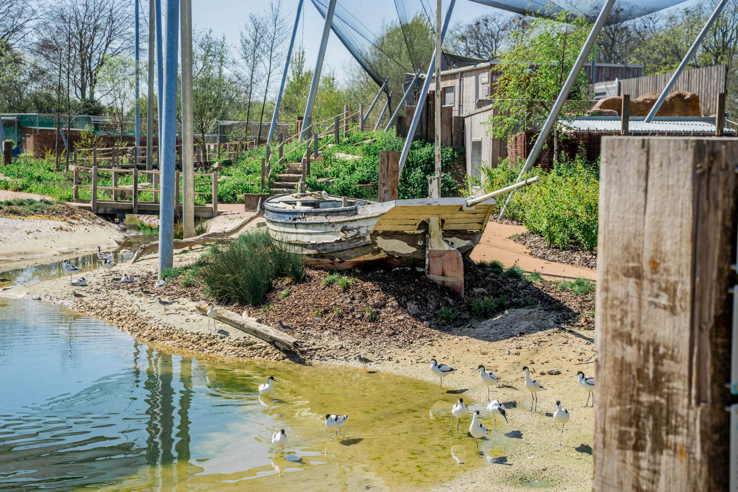  BD Landscape Architects | Landscape Architecture | Urban Design | Space-Making