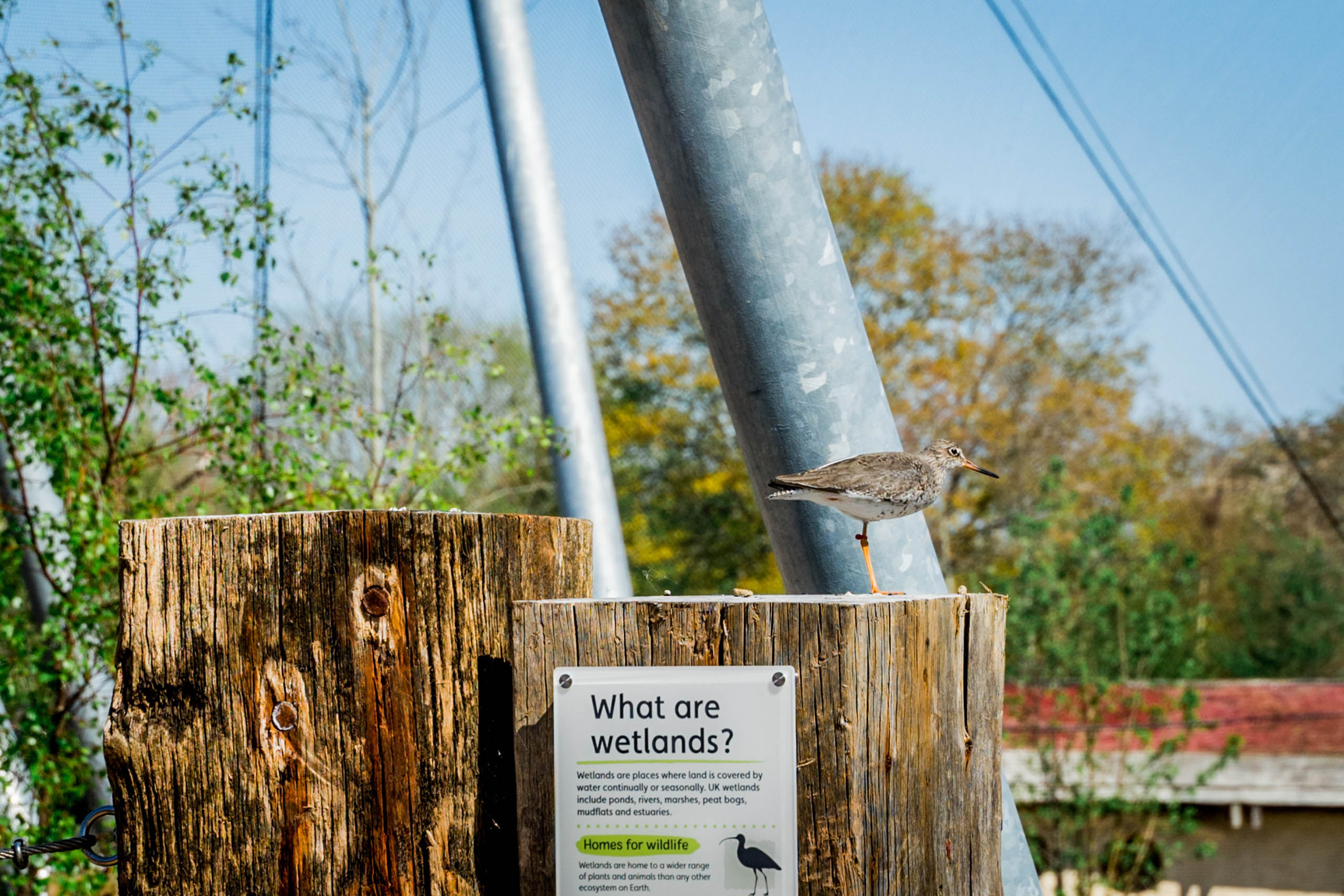  BD Landscape Architects | Landscape Architecture | Urban Design | Space-Making