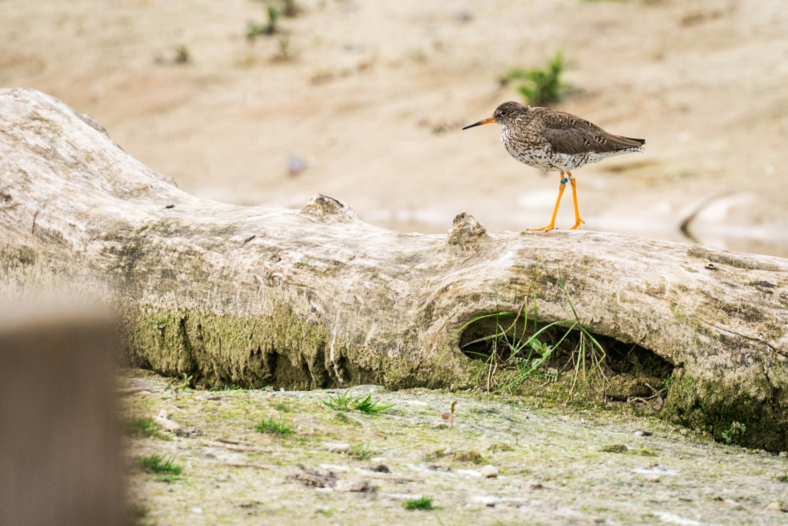  BD Landscape Architects | Landscape Architecture | Urban Design | Space-Making