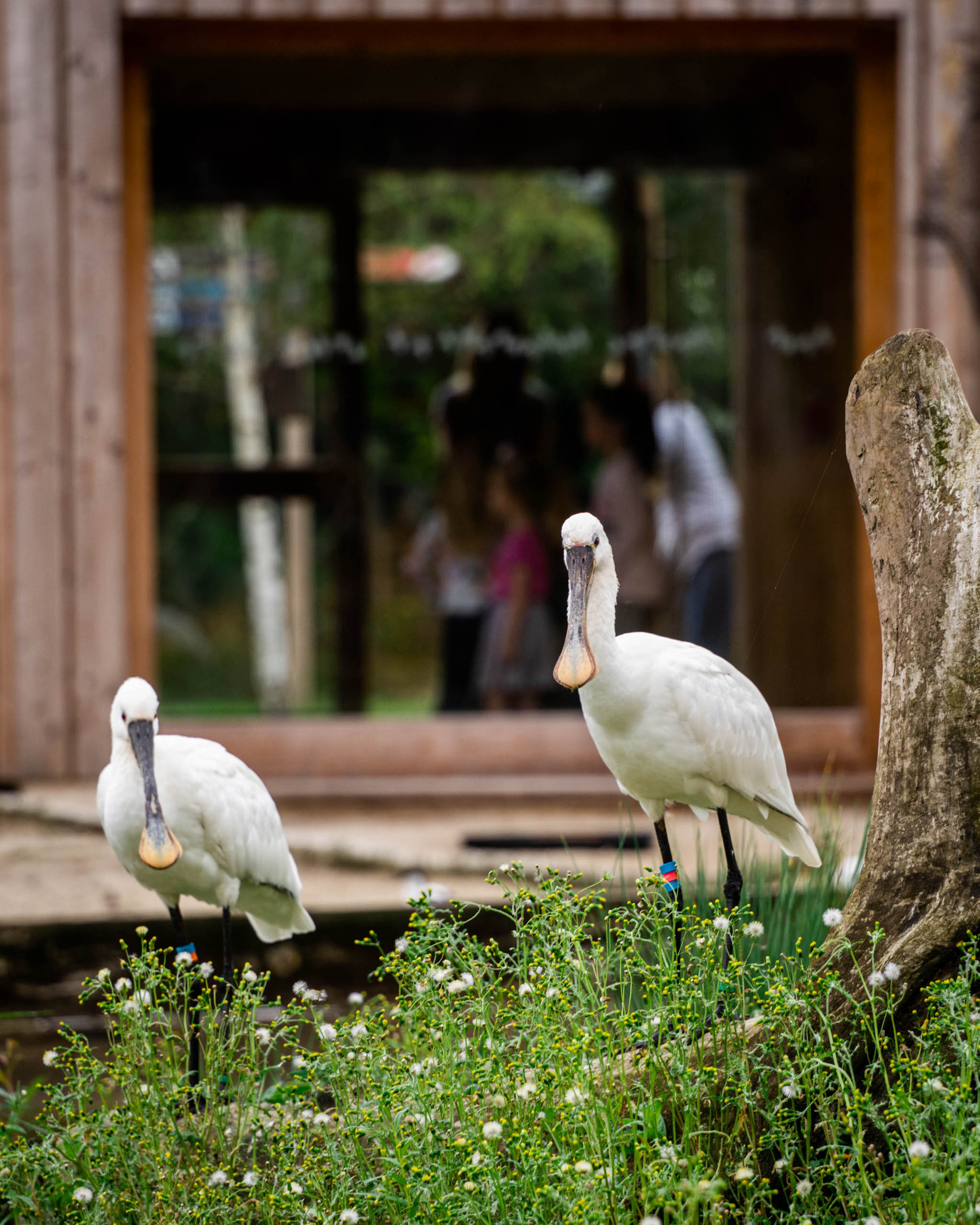  BD Landscape Architects | Landscape Architecture | Urban Design | Space-Making