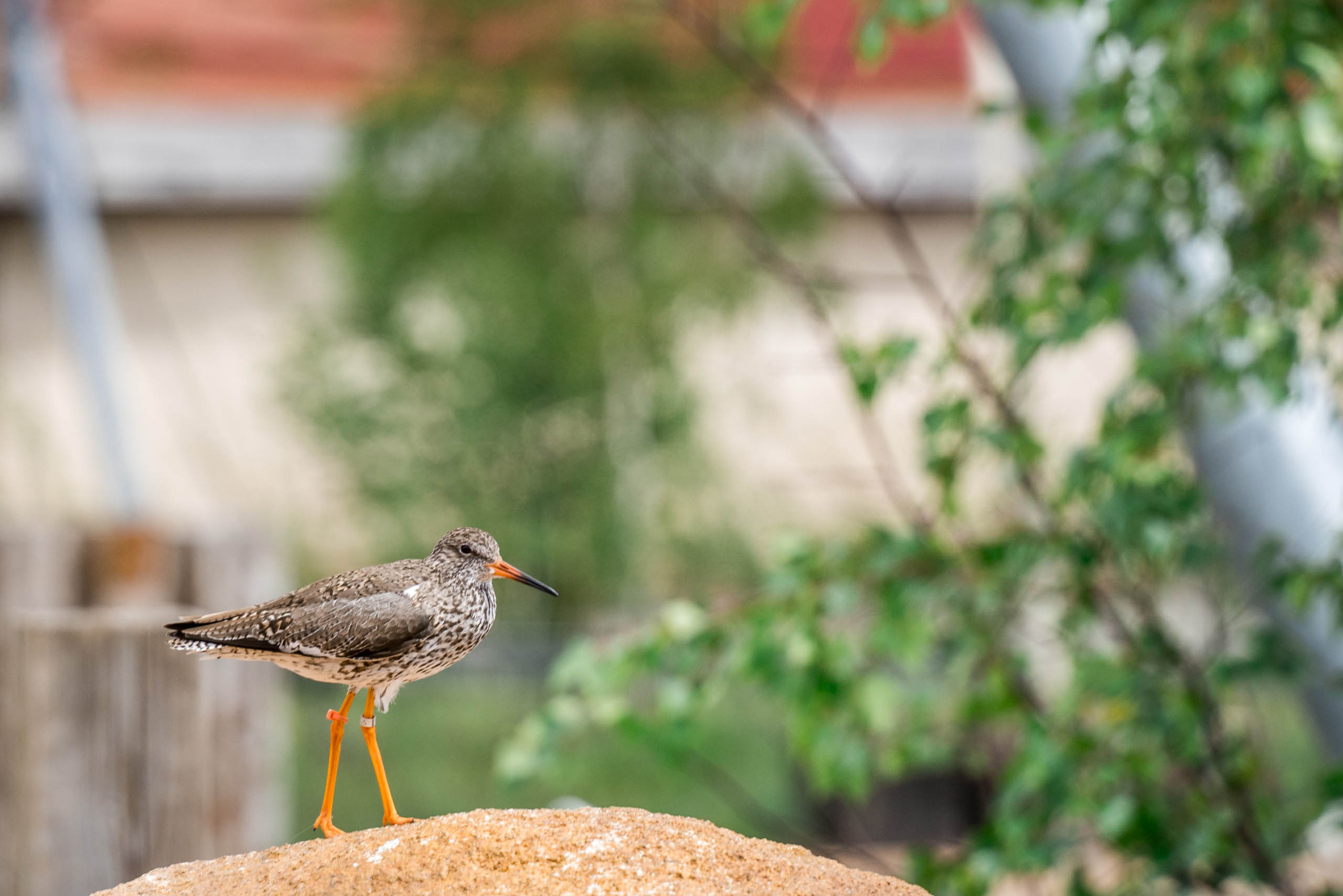  BD Landscape Architects | Landscape Architecture | Urban Design | Space-Making