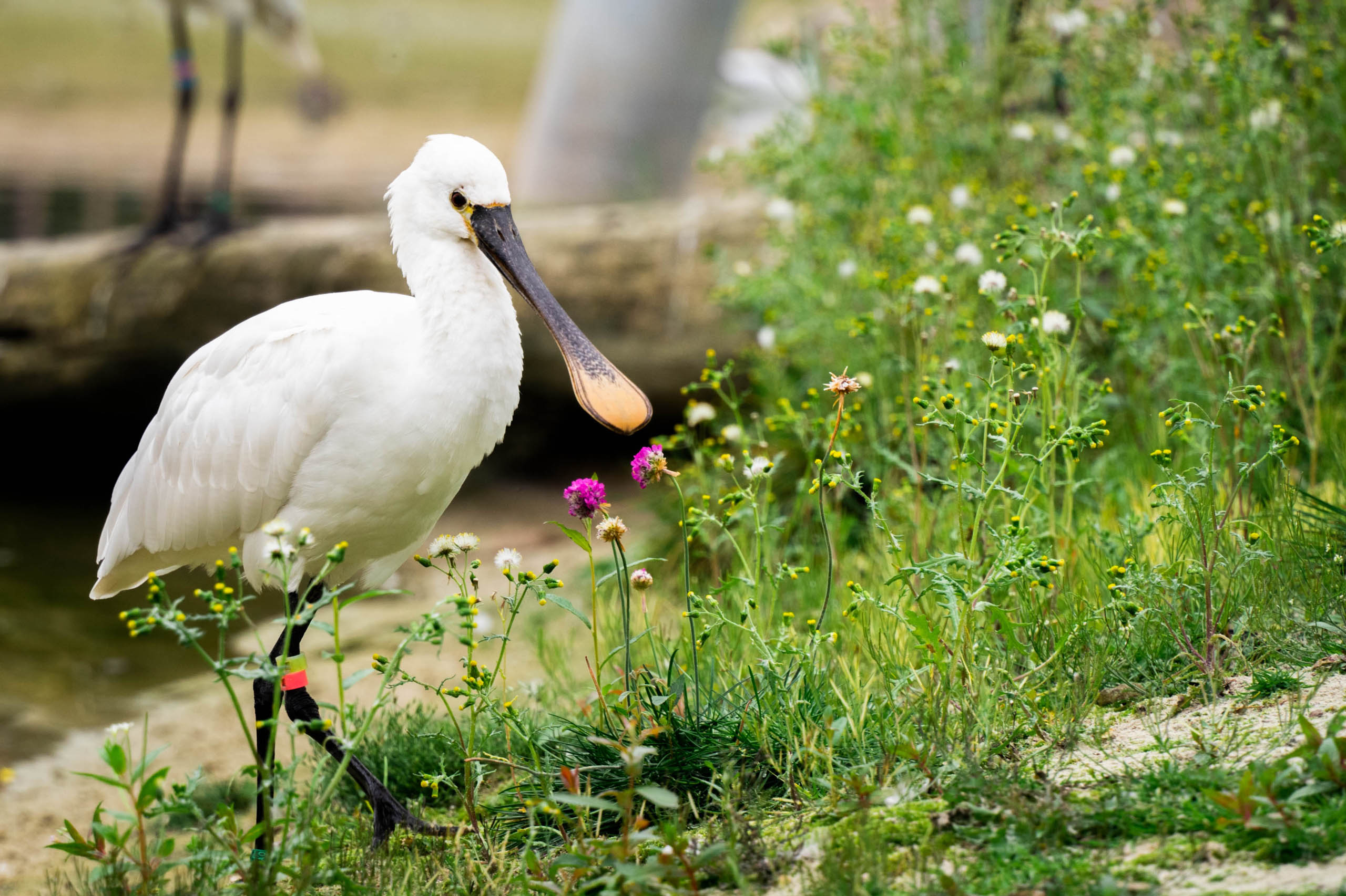  BD Landscape Architects | Landscape Architecture | Urban Design | Space-Making