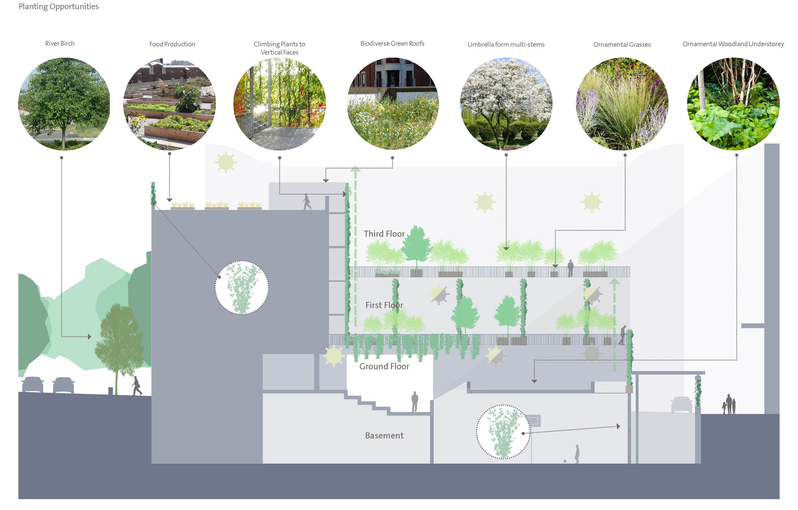 BD Landscape Architects | Landscape Architecture | Urban Design | Space-Making