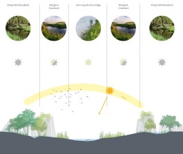 BD Landscape Architects | Landscape Architecture | Urban Design | Space-Making