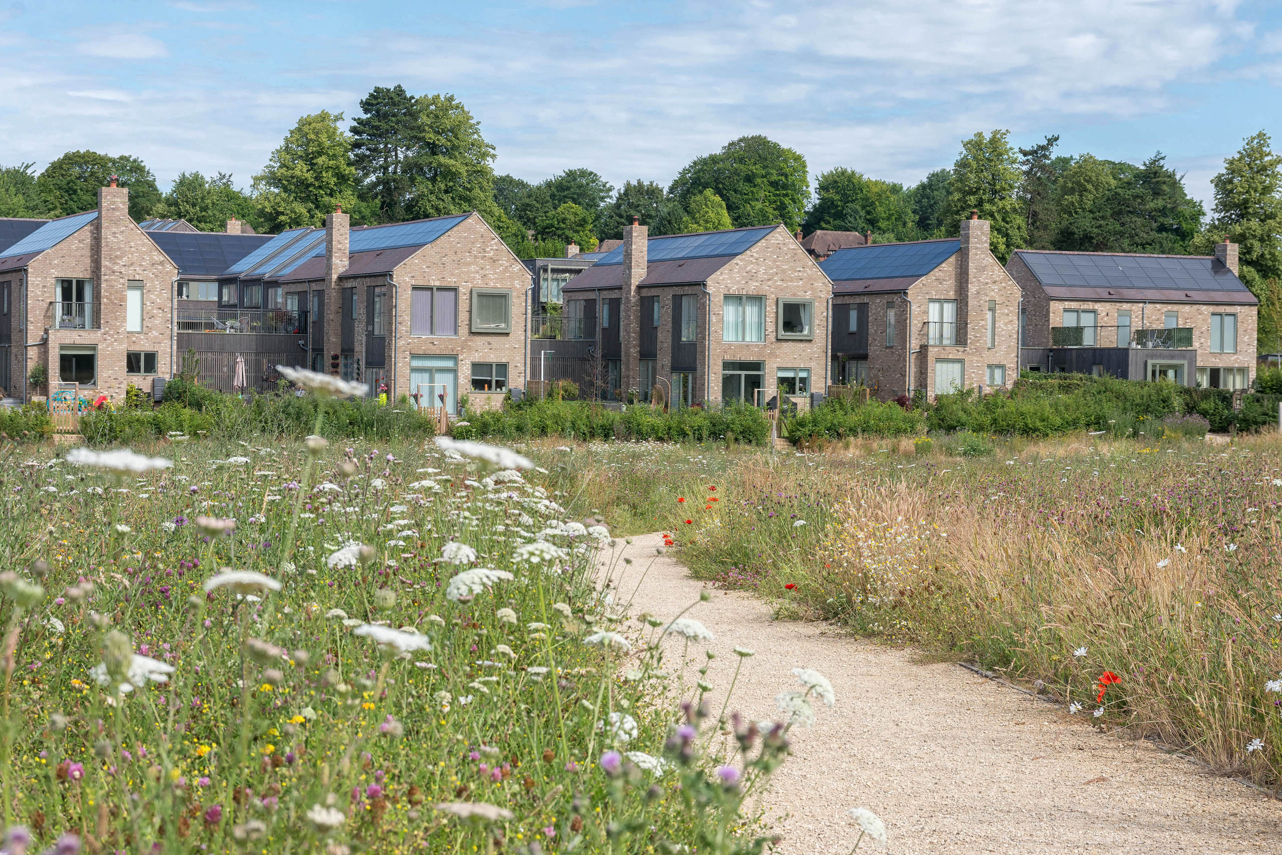 BD Landscape Architects