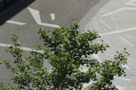  BD Landscape Architects | Landscape Architecture | Urban Design | Space-Making