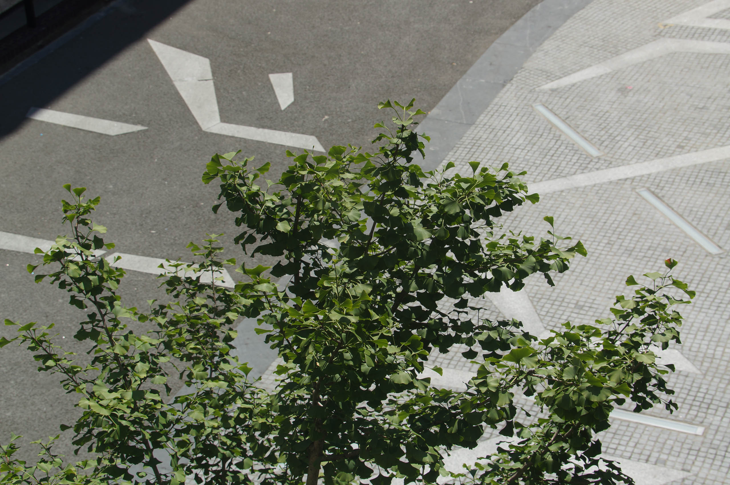  BD Landscape Architects | Landscape Architecture | Urban Design | Space-Making