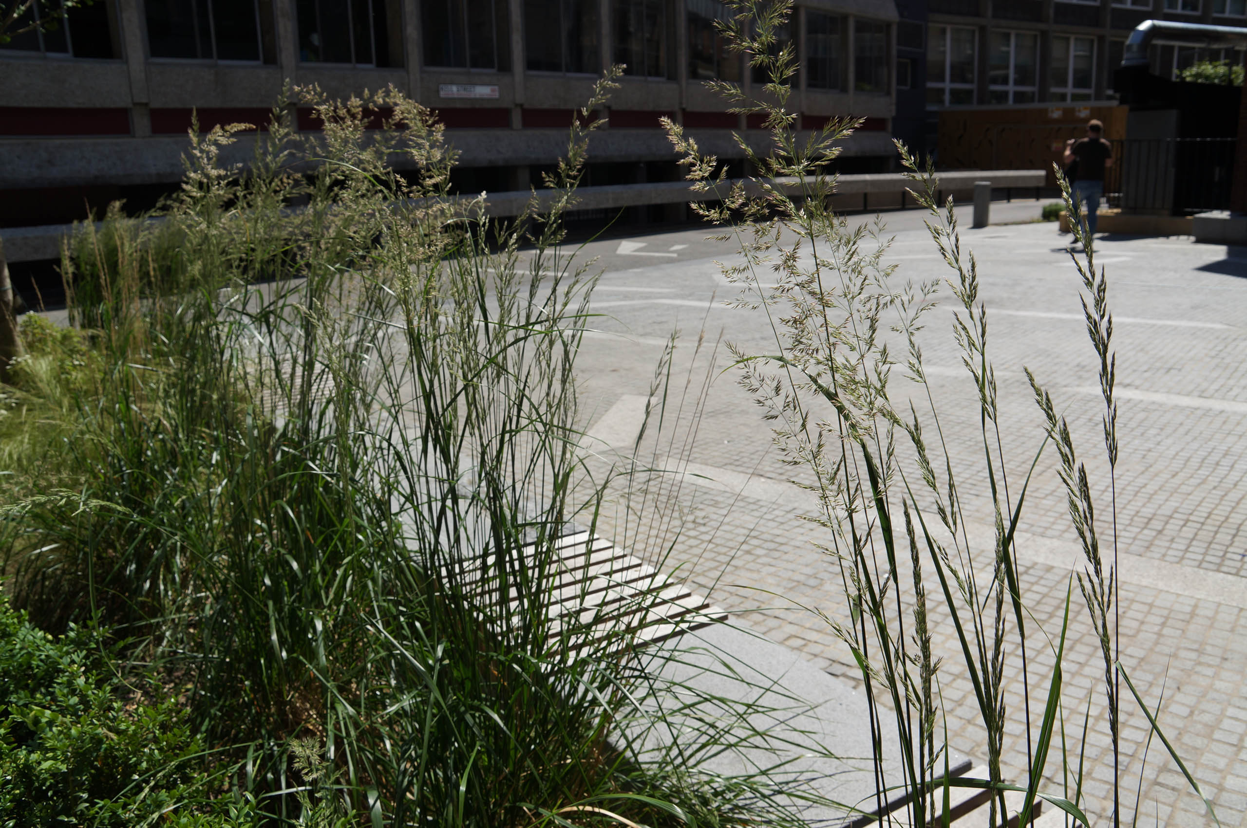  BD Landscape Architects | Landscape Architecture | Urban Design | Space-Making